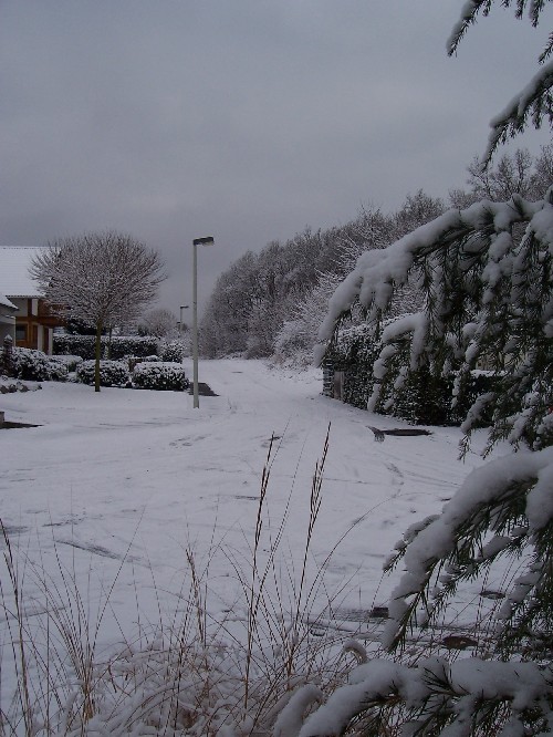 Schnee in Bonn am 27.12.2005